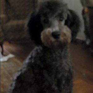 Meet your Posher, Debra